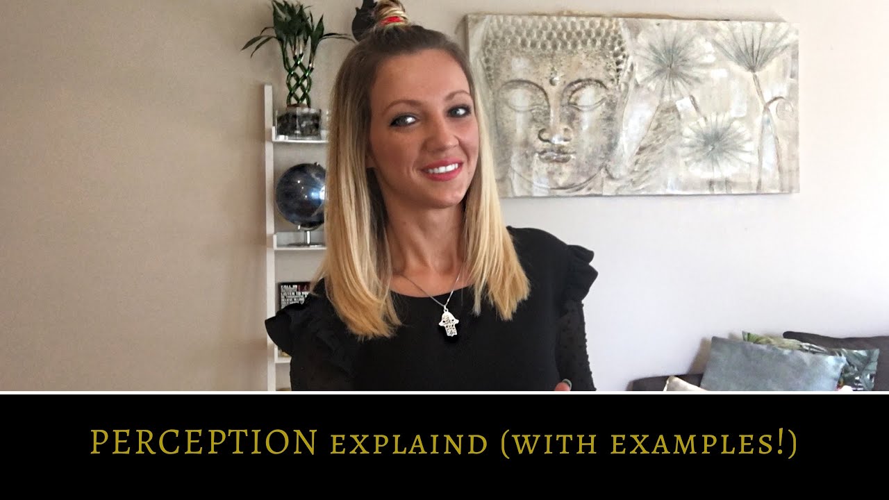 PERCEPTION - What Is Perception? (2018/2019)