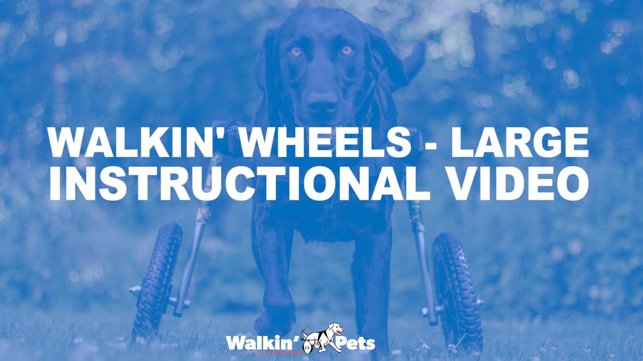 Инструкции по эксплуатации инвалидной коляски Large Walkin' Wheels