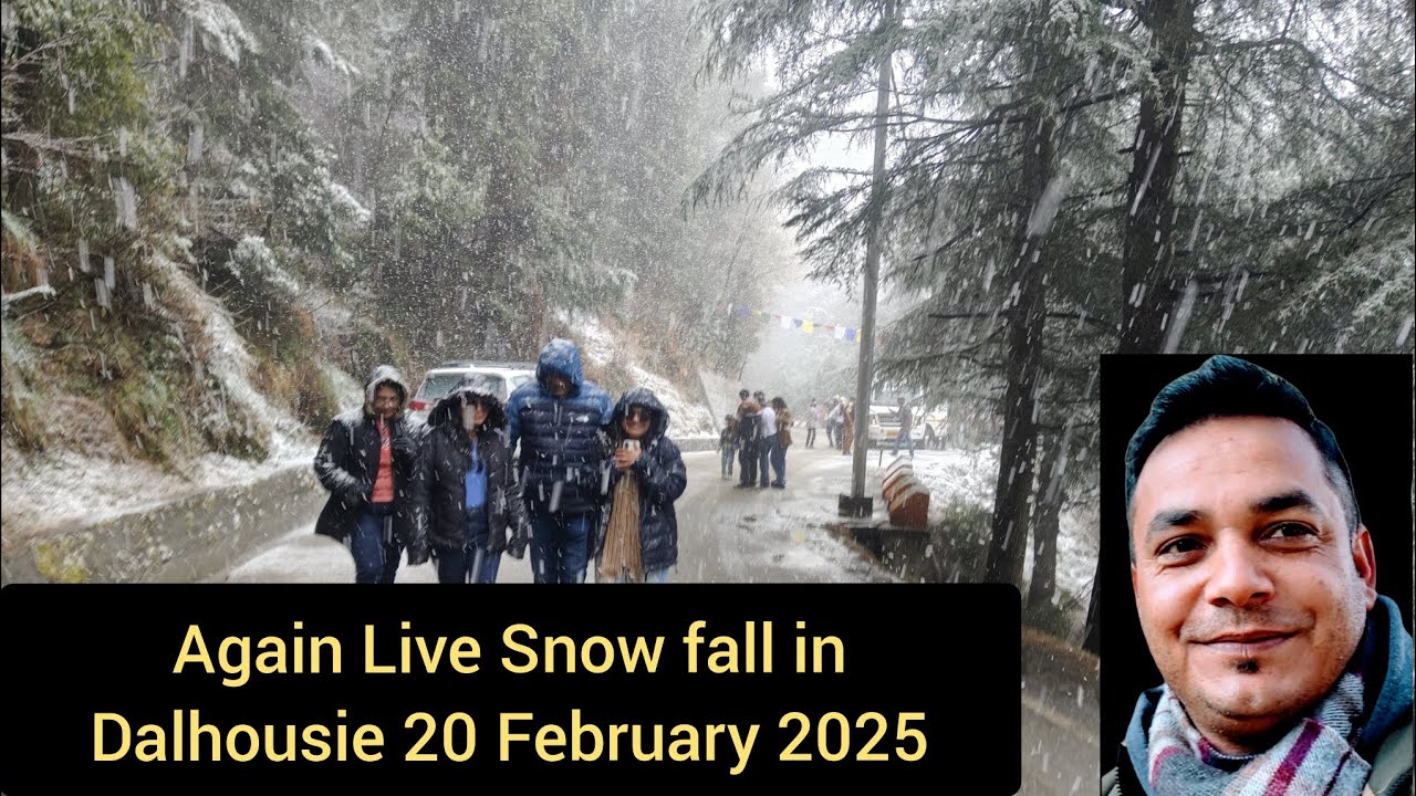 Again Live Snow fall in Dalhousie Himachal Pradesh 20 February 2025!! Dalhousie tour guide!!