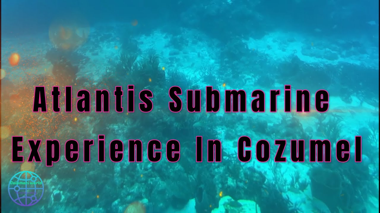 Calamari World - Wednesday Special: Atlantis Submarine Experience In Cozumel