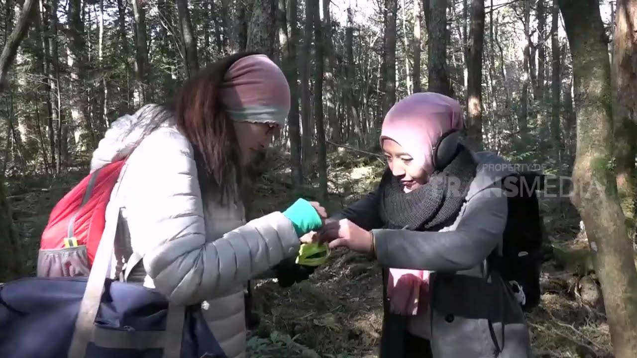 PENELUSURAN HUTAN ANGKER AOKIGAHARA DI JEPANG | ON THE SPOT (28/12/17) Part 2