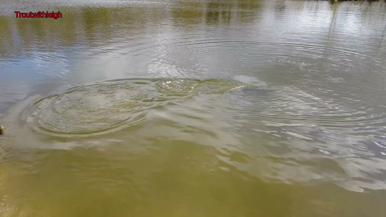 WINTER TROUT FISHING