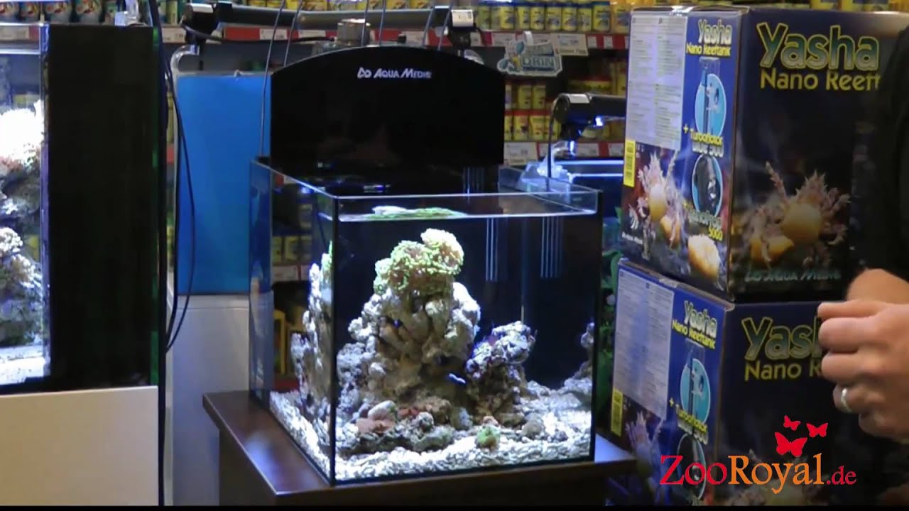 Aqua Medic Yasha Meerwasser Nano Aquarium Reeftank