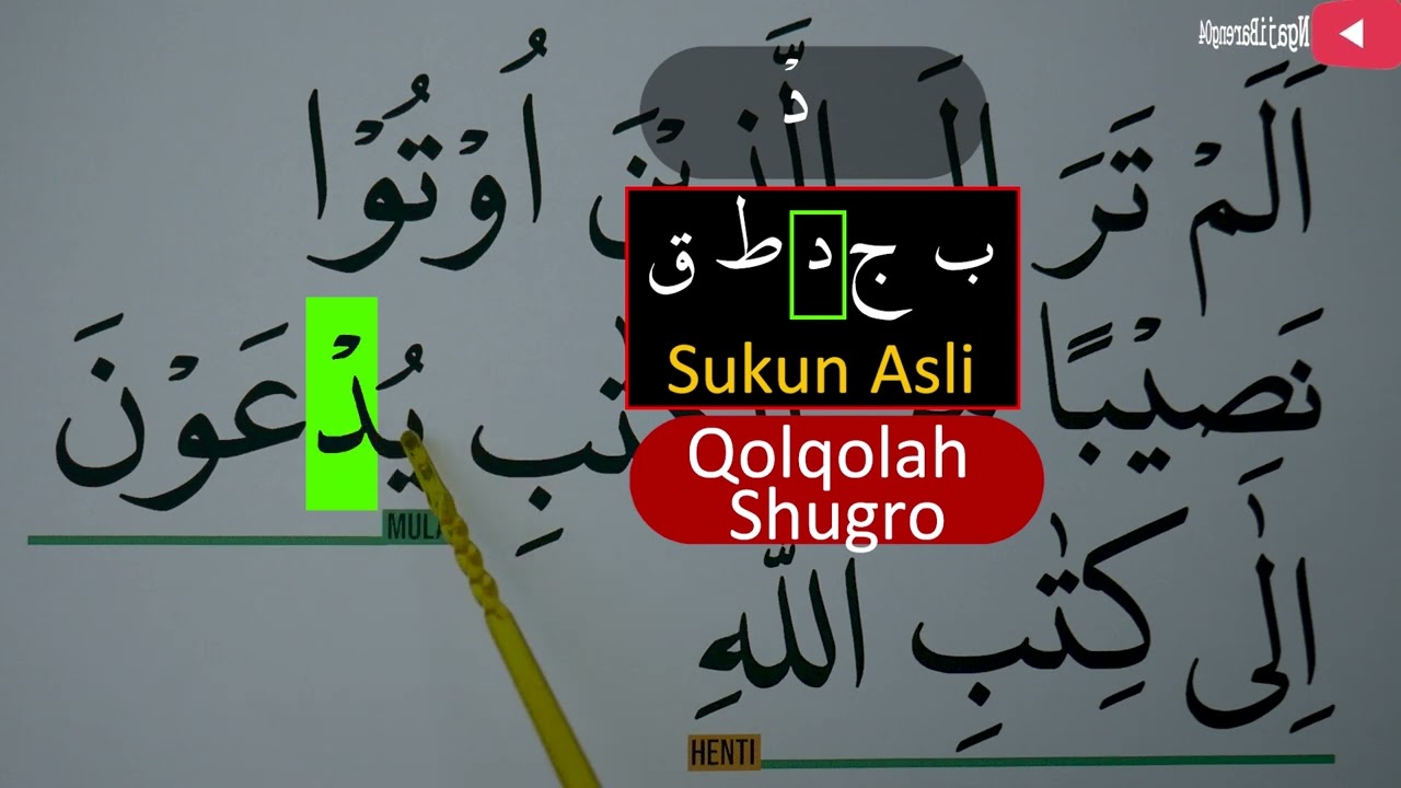 MENGURAI TAJWID SURAH ALI IMRAN AYAT 23 ARTINYA, CARA BACA & CONTOH PENGUCAPANNYA EPS 538