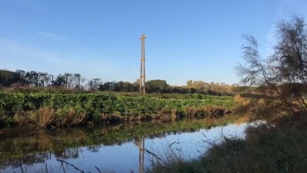 Le dirette de La mia Ostia: dal Canale dei pescatori alle idrovore di Fosso del Dragoncello