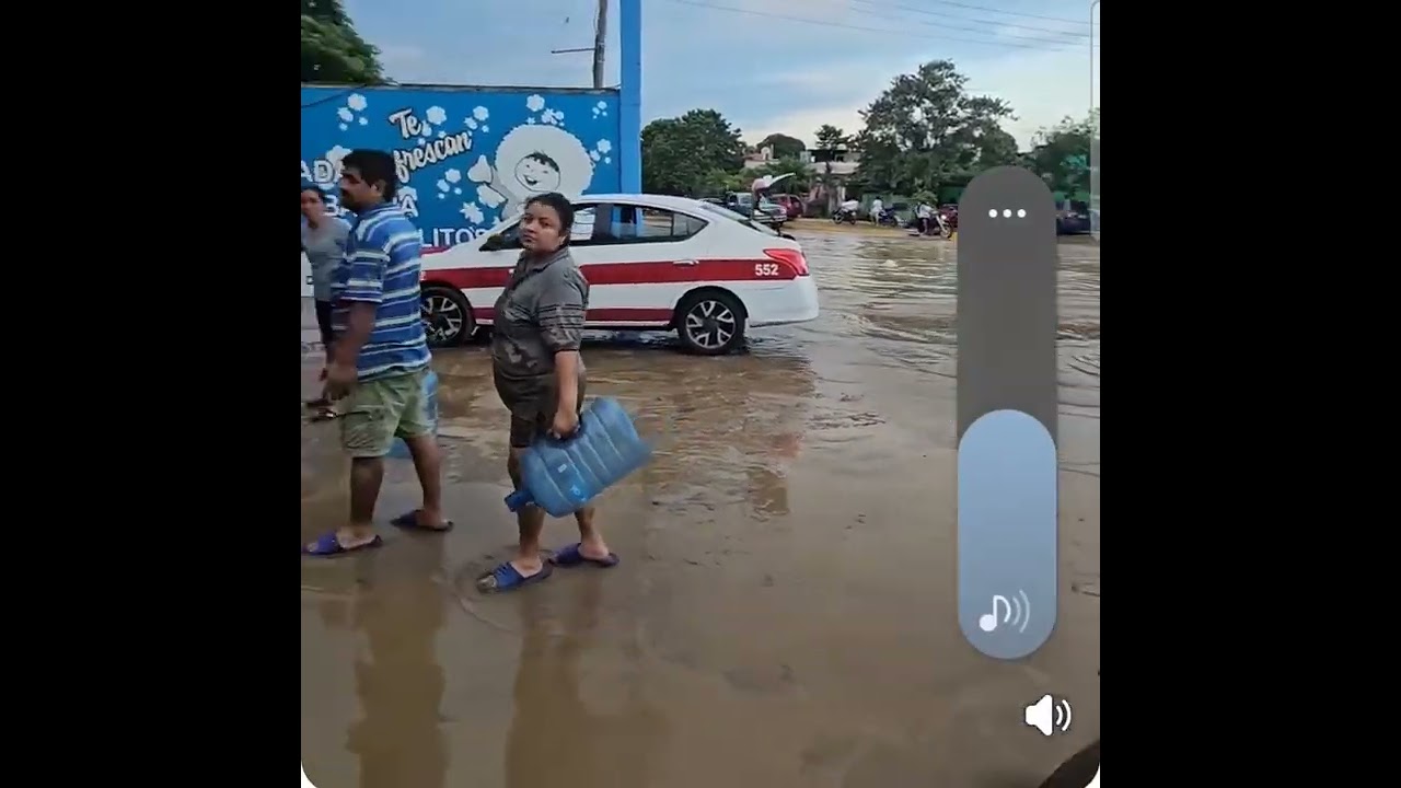 Alamo temapache  nesecita ayuda