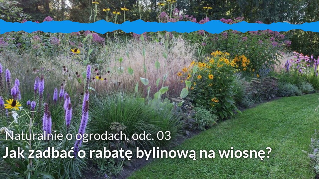 NoO 03: Jak zadbać o rabatę bylinową na wiosnę?