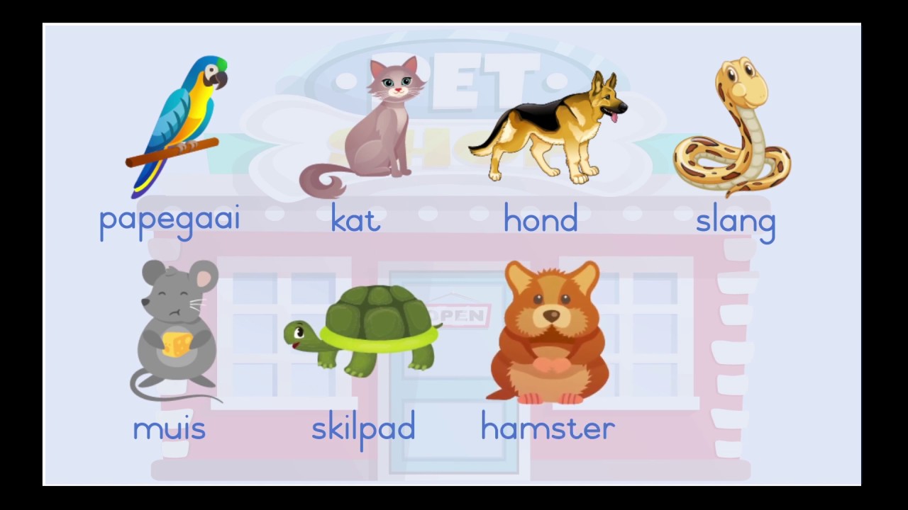 Grade 1 Afrikaans FAL - Troeteldiere (Pets)