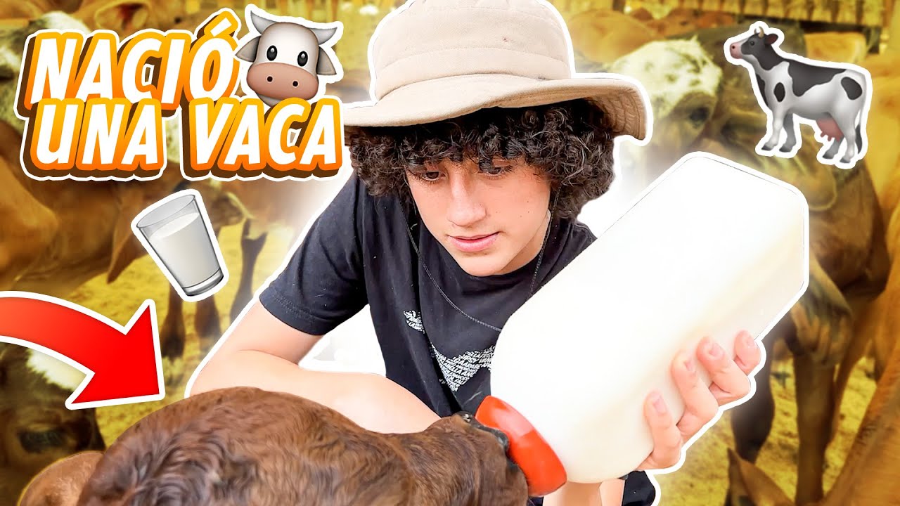 ESTUVE EN EL PARTO DE UNA VACA....TODO ESTO PASÓ | Trabajando en otra granja! 