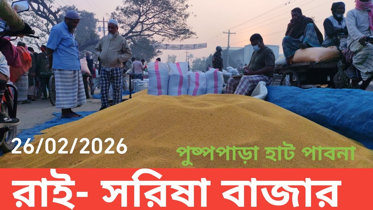 26 February 2026 আজকের সরিষার বাজার দর। পুষ্পপাড়া হাট আতাইকুলা পাবনা থেকে। সরিষার বাজার দর।
