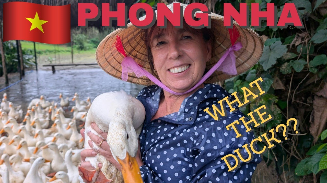 Phong Nha - fun in the adventure capital of SE Asia! Caves, countryside and ducks in the rain!