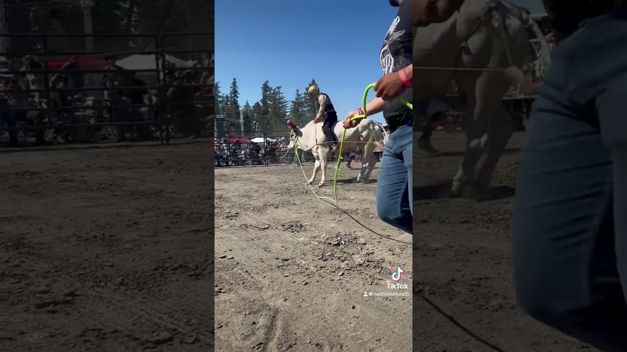 31 de agosto de 2024