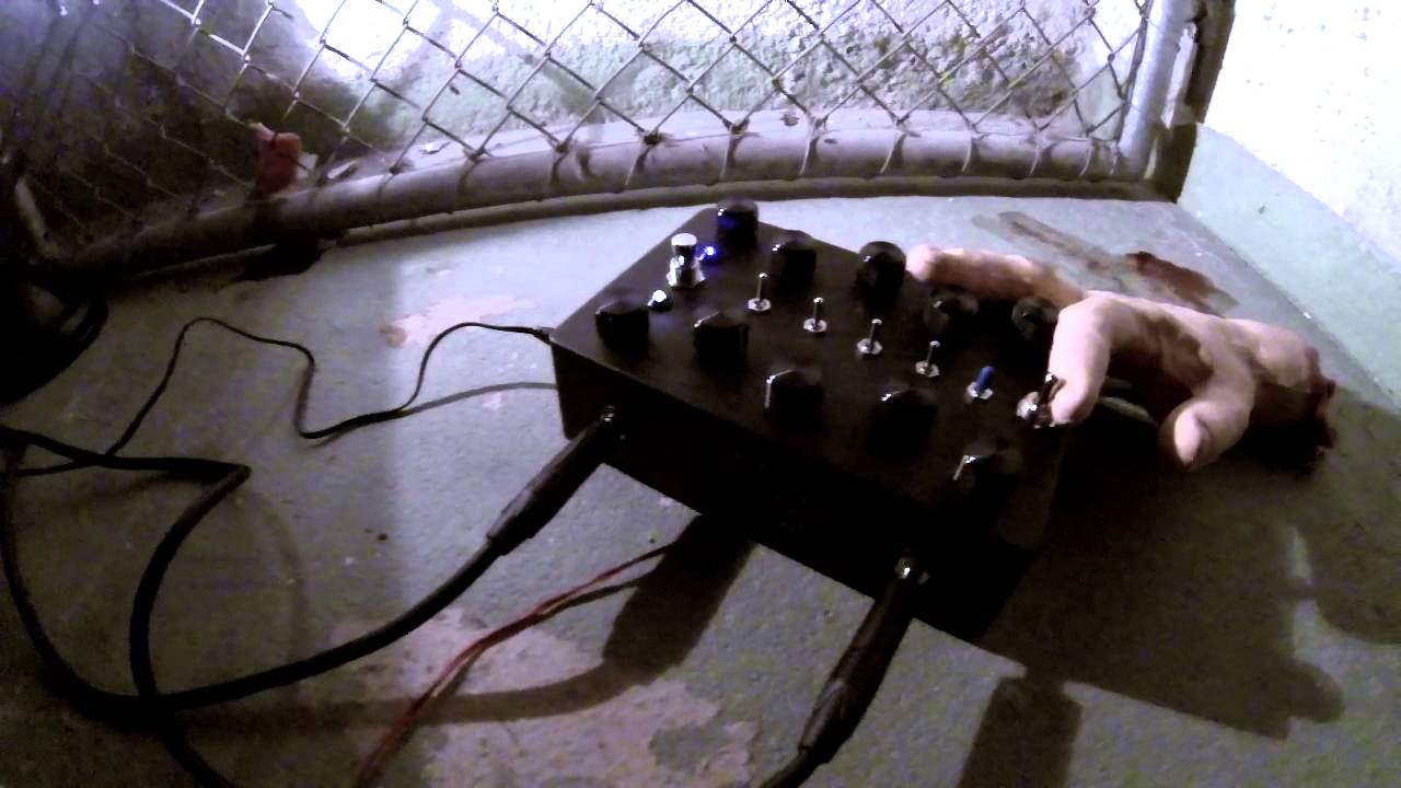 CACOPHONATOR NOIR in the cellar
