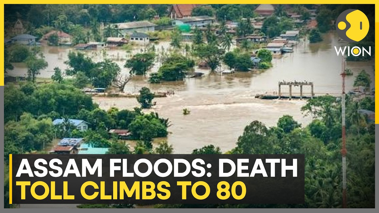 Assam Floods: IMD Forecasts Heavy To Very Heavy Rain In Assam Till August 1 | WION News