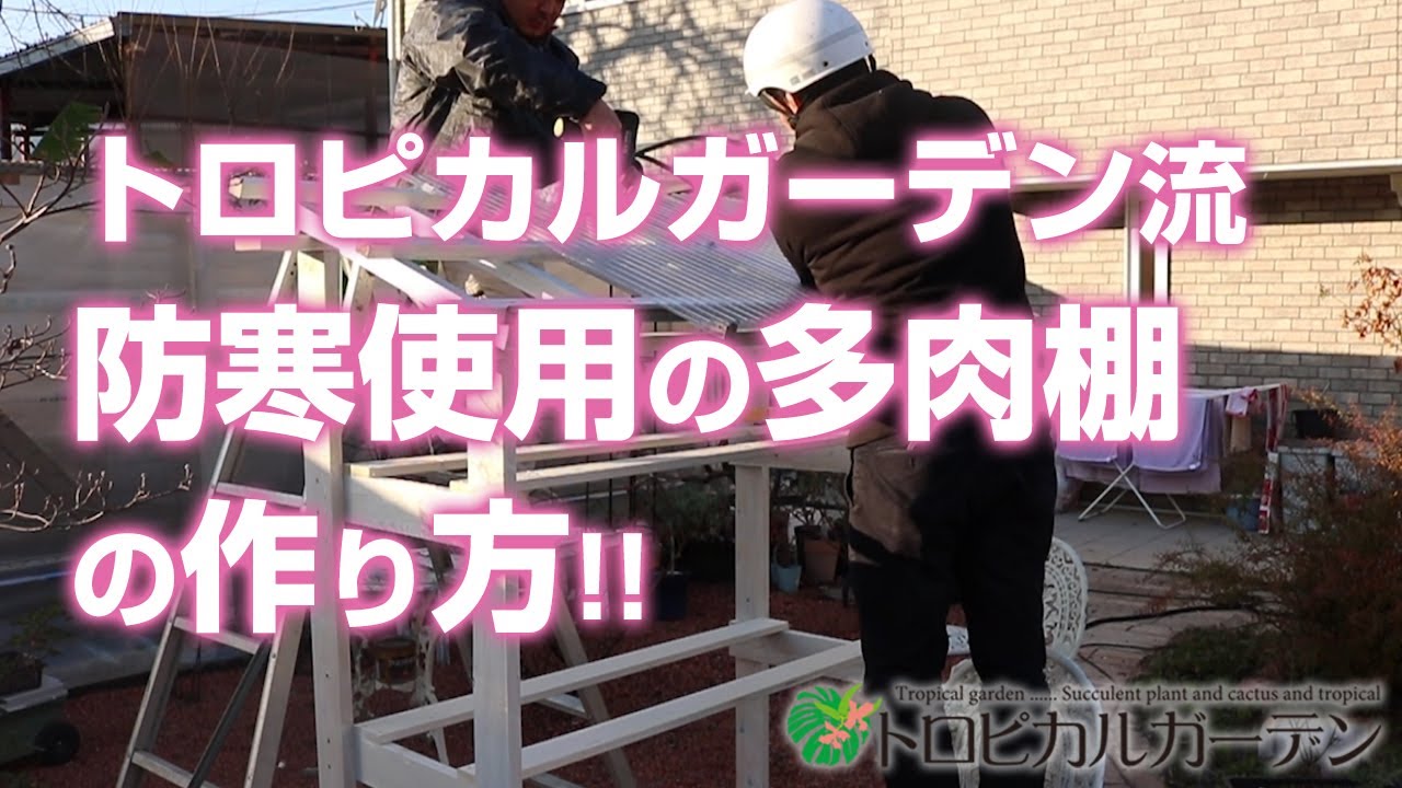 【多肉棚】トロピカルガーデン流防寒使用の多肉棚の作り方!!【DIY】トロピカルガーデン