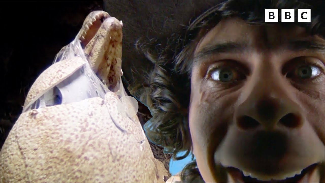 🔴 LIVE: Mothersaurus 🥚🦖 | Andy's Dinosaur Adventures