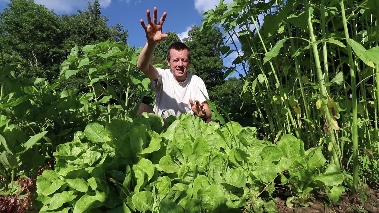 Survival Garden Trick That works!!!