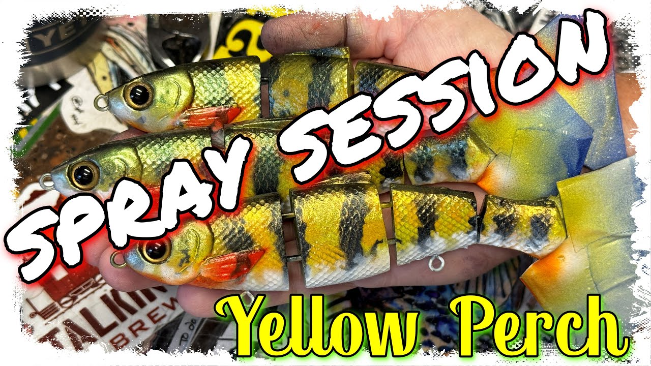 How To Paint A Yellow Perch Pattern (NEW SPRAY SESSION) 08/07/2024