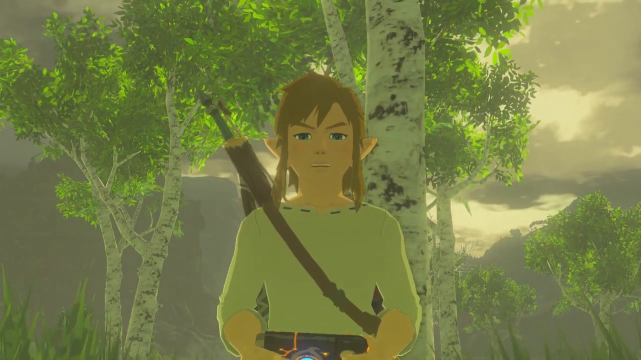BotW Memeory #3 - Resolve and Grief