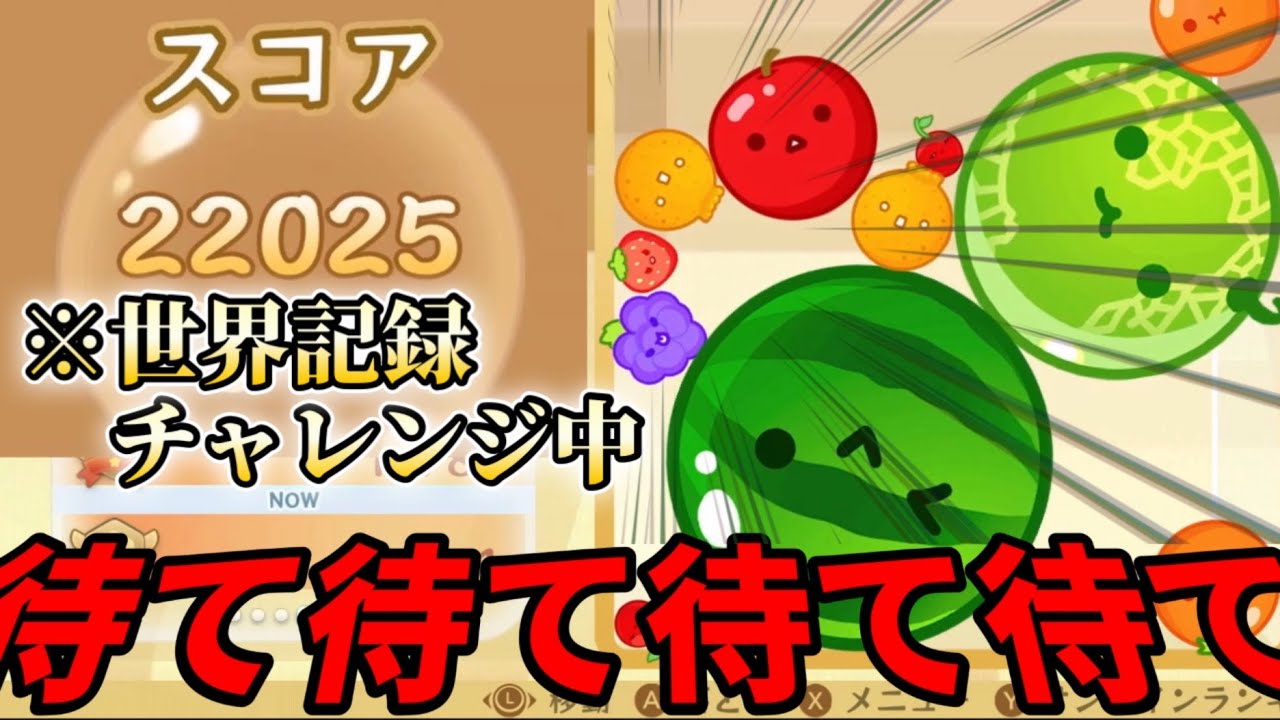【絶望】世界記録チャンスで起きたスイカゲーム史上最悪の終わり方【スイカゲーム】