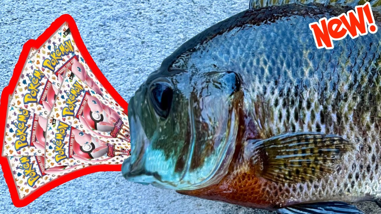 Fishing Challenge 3 | LPW
