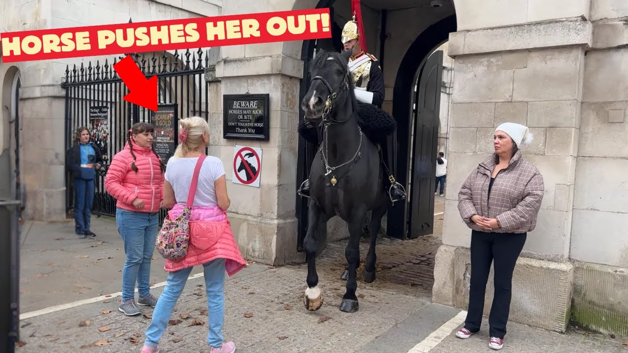 King's Guard Horse Teaches a Stupid Tourist a Lesson for Crossing the Line!