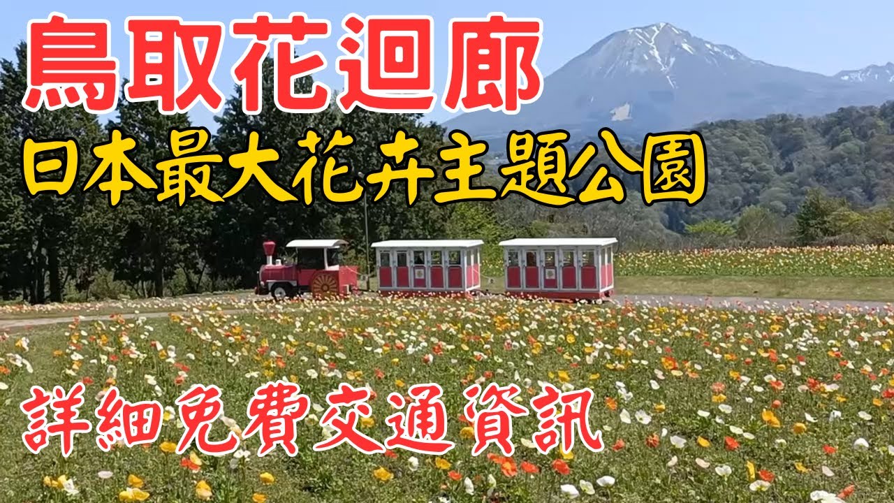 鳥取縣．鳥取花迴廊🌷免費巴士資訊 🚌日本規模最大花卉主題公園🌺漂亮花田、伯耆富士山、花卉小火車、展望迴廊【日本自由行2025 EP.43】