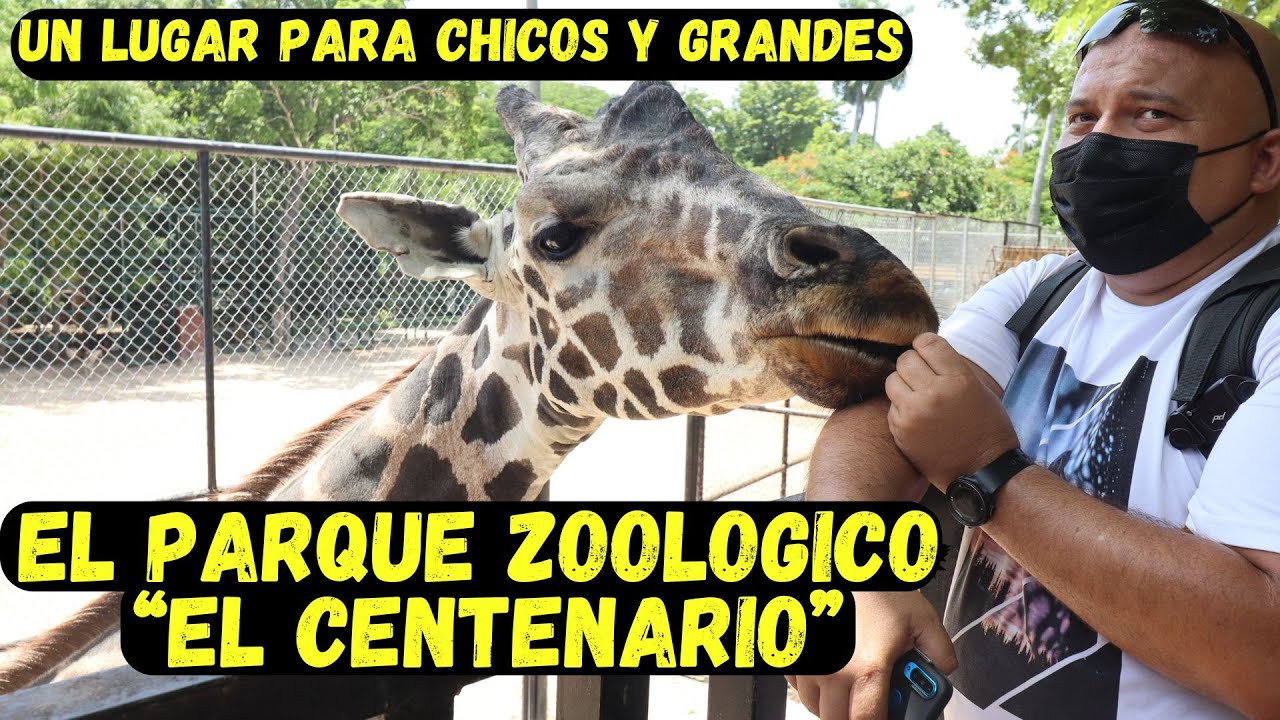 Zoológico de Mérida ✅ ║