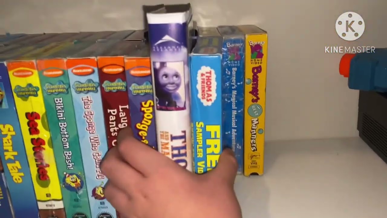 Overview My VHS/DVD/Blue-Ray Collection (2024 Edition)