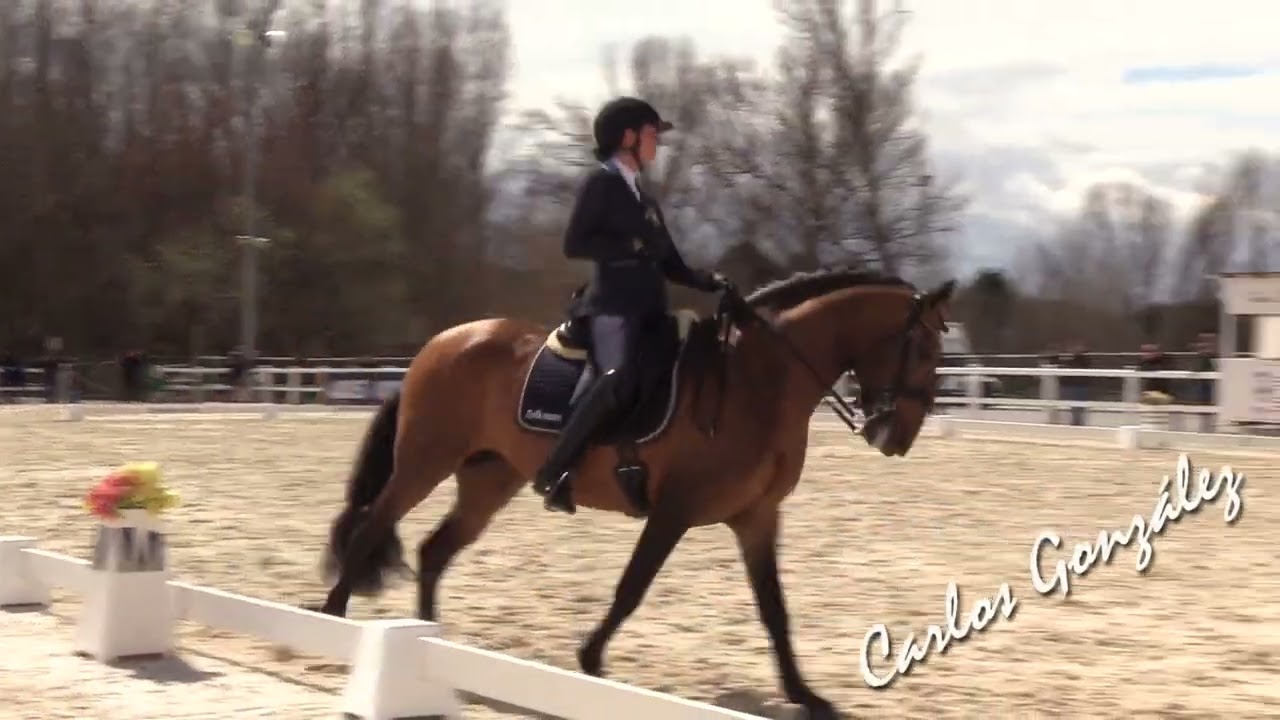 Astrid Hedman & Jaguar P  Doma