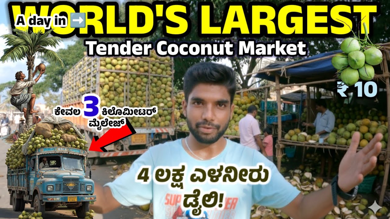 World's Largest Tender Coconut Market | INDIA | Karnataka