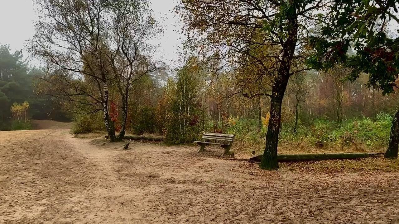De Veluwe