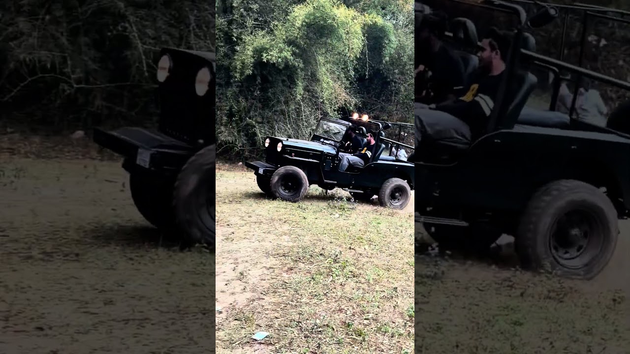 #jeep