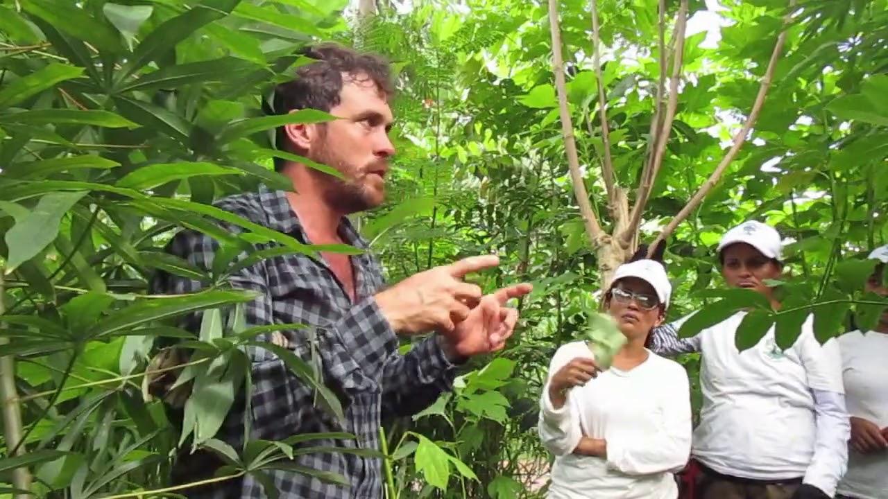 Coringa Agrofloresta - curso com o Prof. Juã Pereira, Março 2020 - Renovação de Sistema de 4 anos