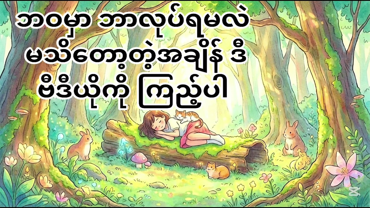 ဘဝမှာ ဘာလုပ်ရမလဲ မသိတော့တဲ့အချိန် ဒီ video ကို နားထောင်ပါ🌱#podcast  #motivation #myanmar #audiobook 