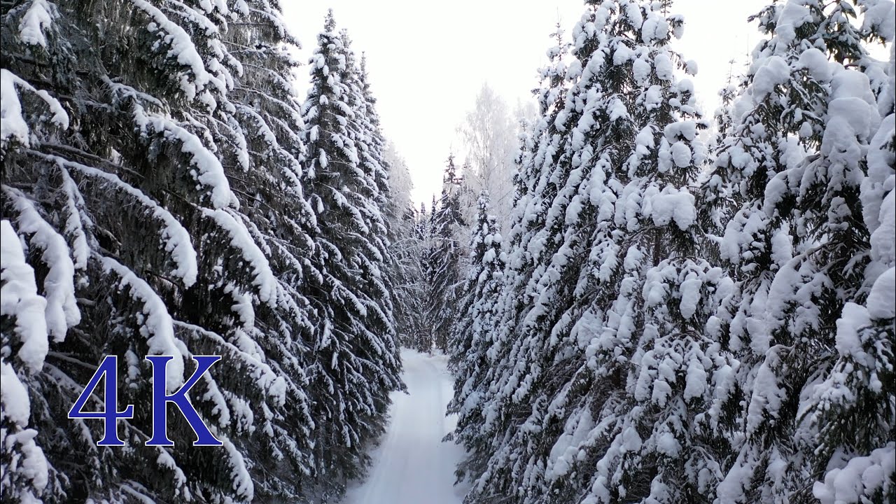 FINLAND Winter Road drive - Beautiful Snowy Forest scenery 4K