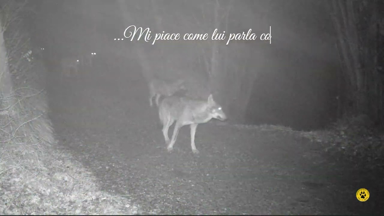 Tracce in Val d'Enza_Inverno 2023 24