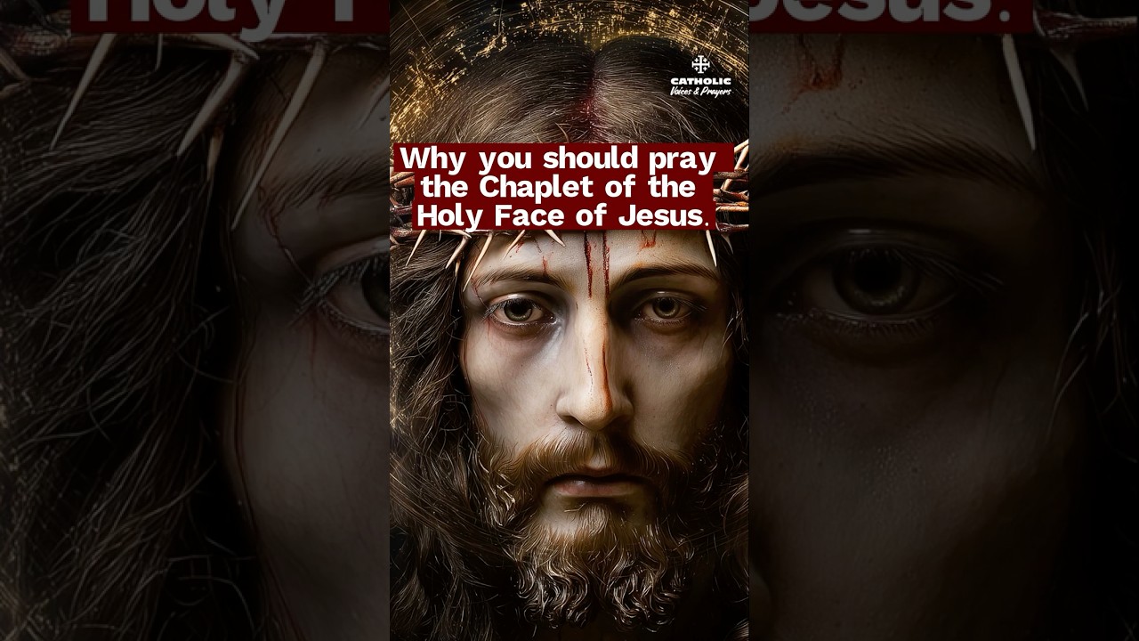 Wh you should pray the Chaplet of the Holy Face.