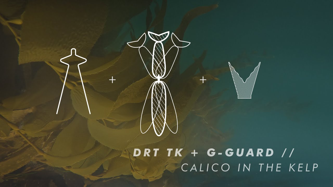 DRT TK + G-Guard // Calico in the Kelp