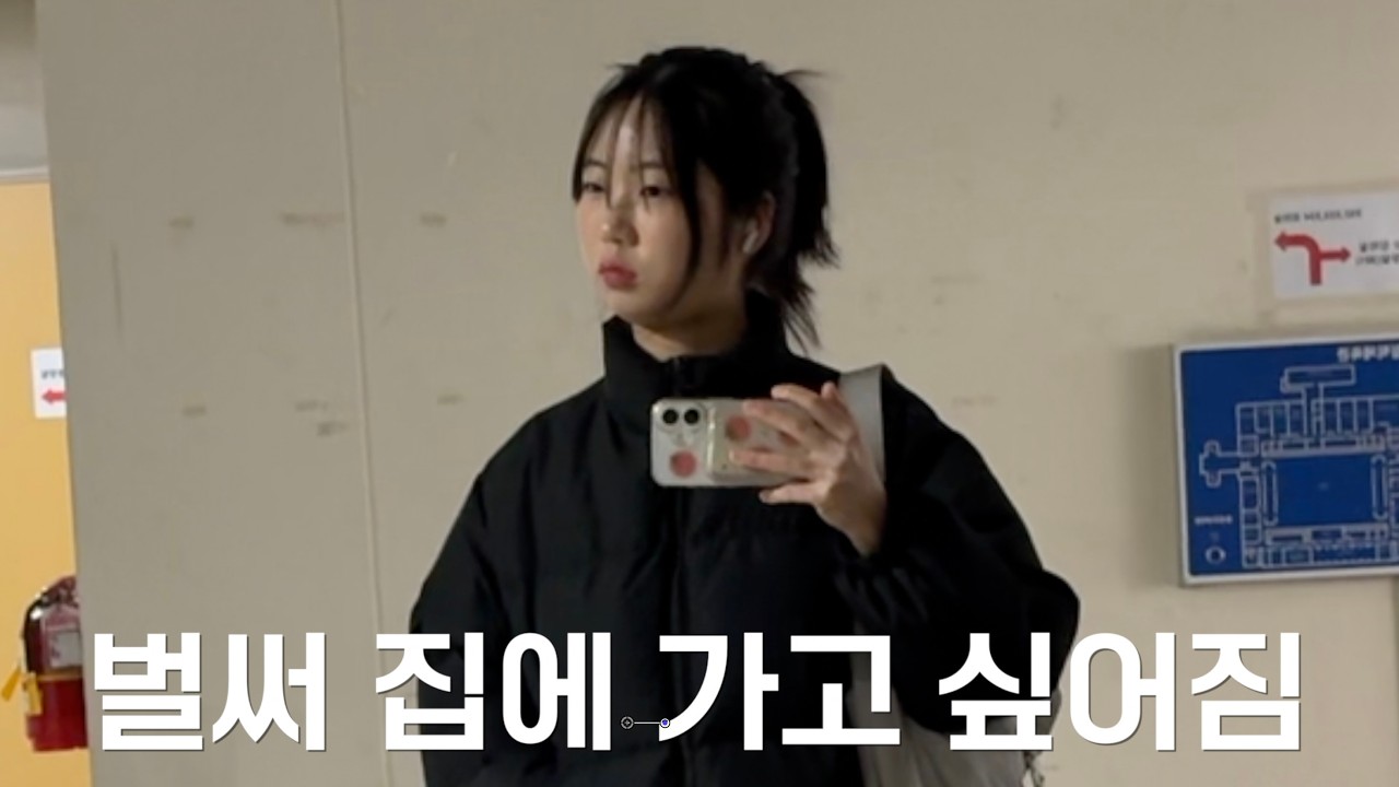 개강한 암모나이트