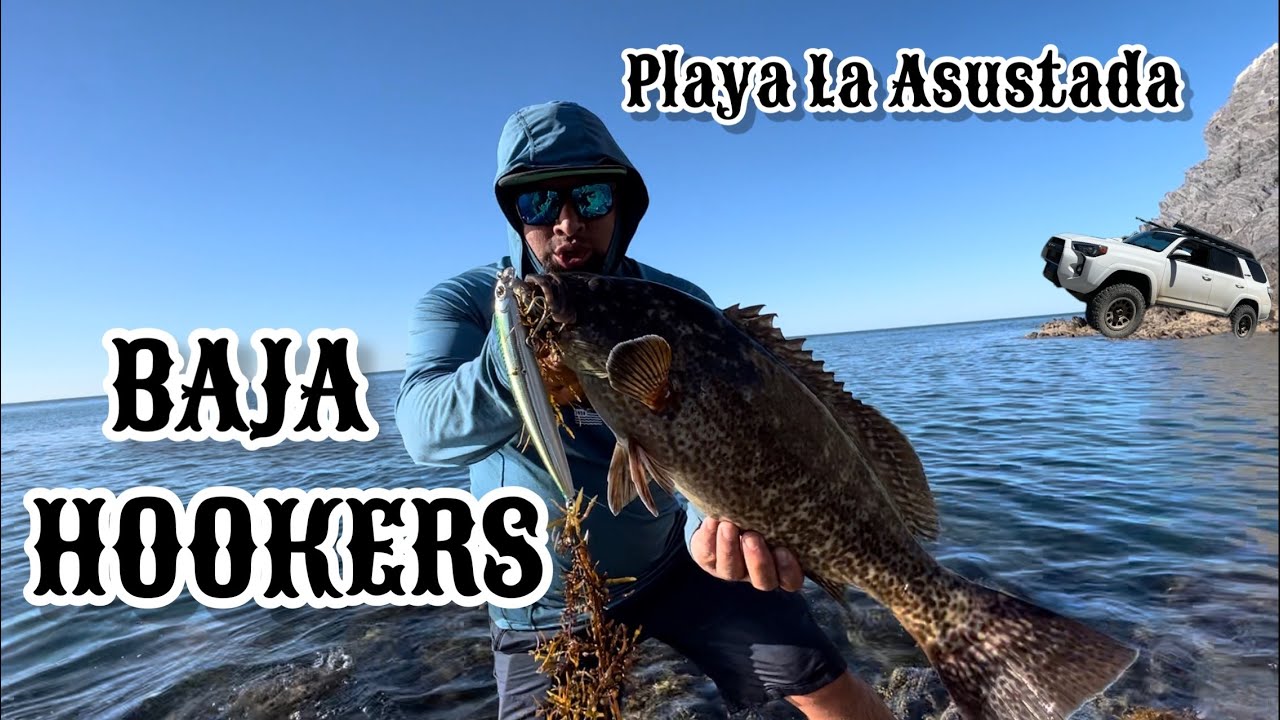 Una aventura por toda la Baja Bahia de Los Ángeles, Puertecitos, Gonzaga con @bakotruckismael8598