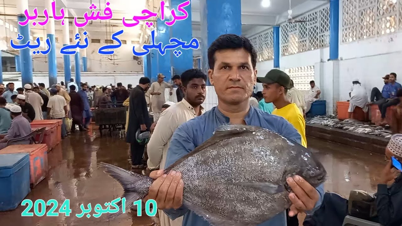 کراچی فشری مچہلی کے تازہ ترین ریٹ 🐟🐠🦐 10 october 2024