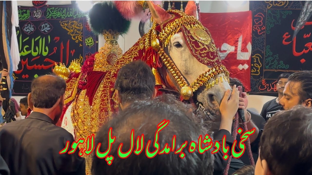 Zuljanah sakhi badshah bramdagi Lal pul Lahore 