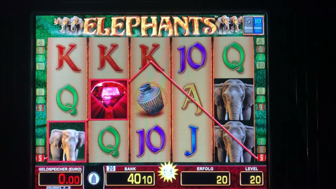 ELEPHANTS (50€ to 115€)