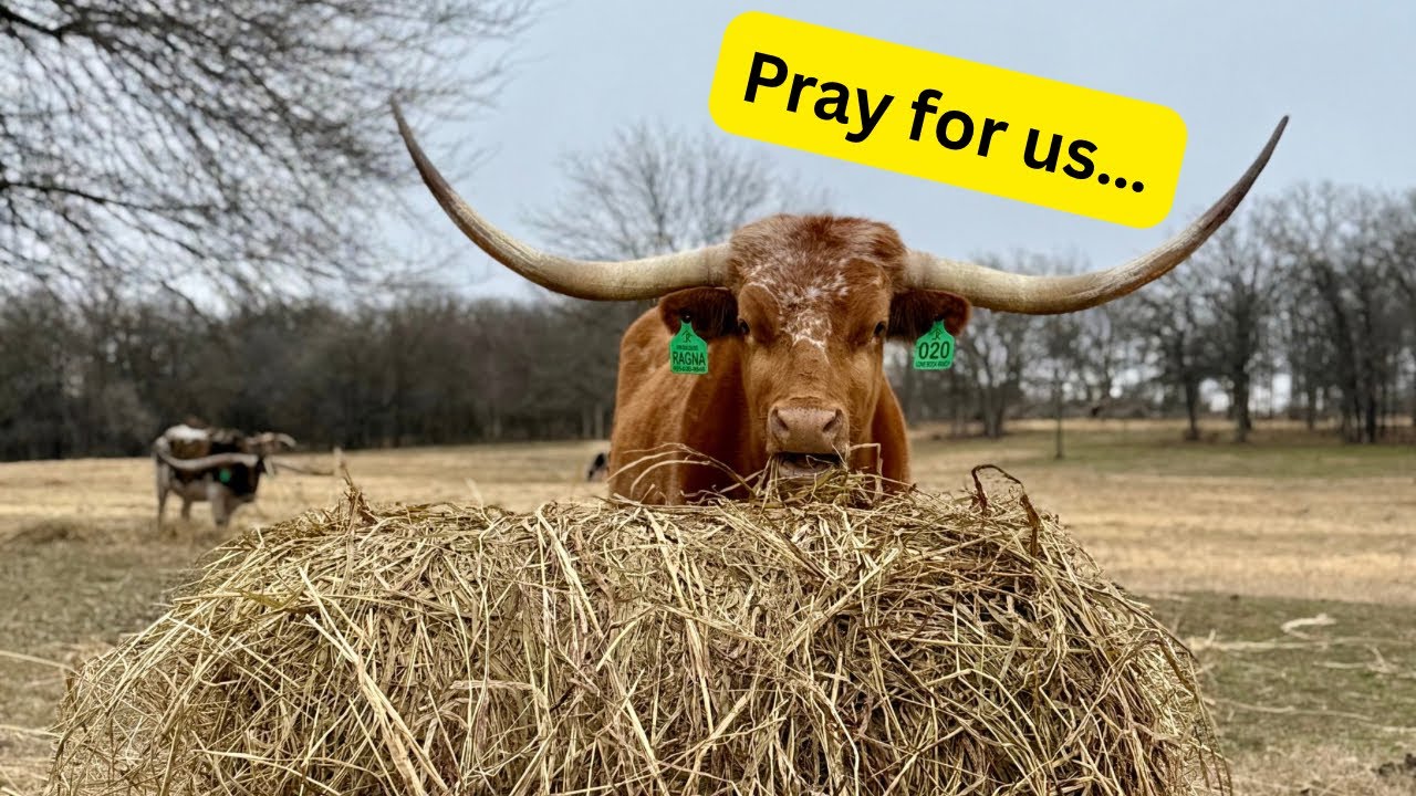 Pray for us…