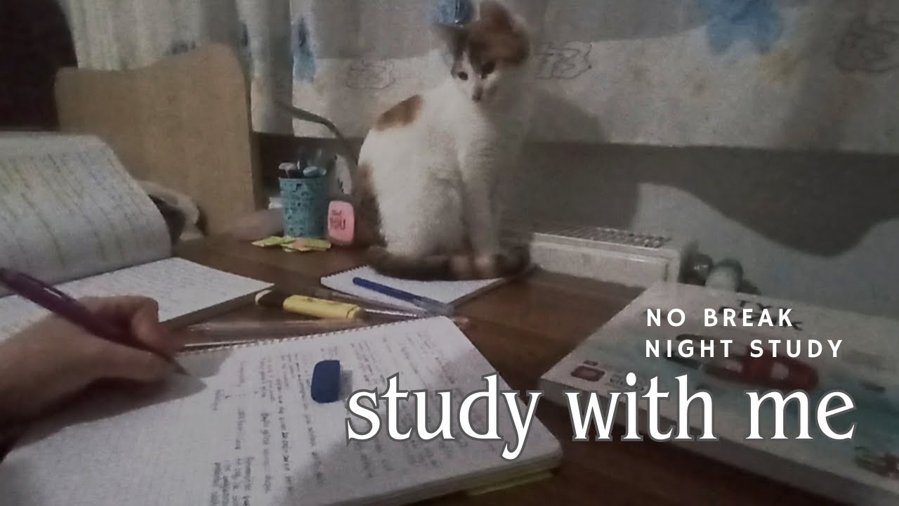 Study With Me | Night Study 🌙 1.5 Hours No Break | Real Time