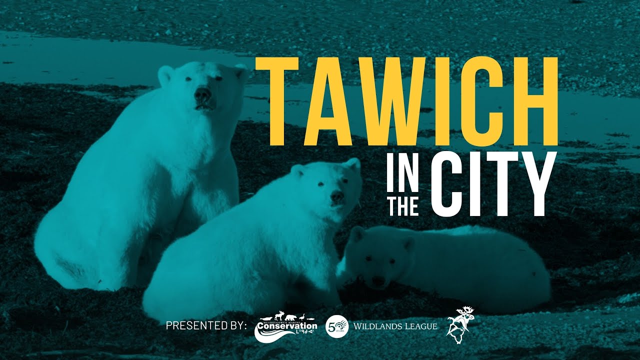 Mushkegowuk Council and Wildlands League Present Tawich in the City