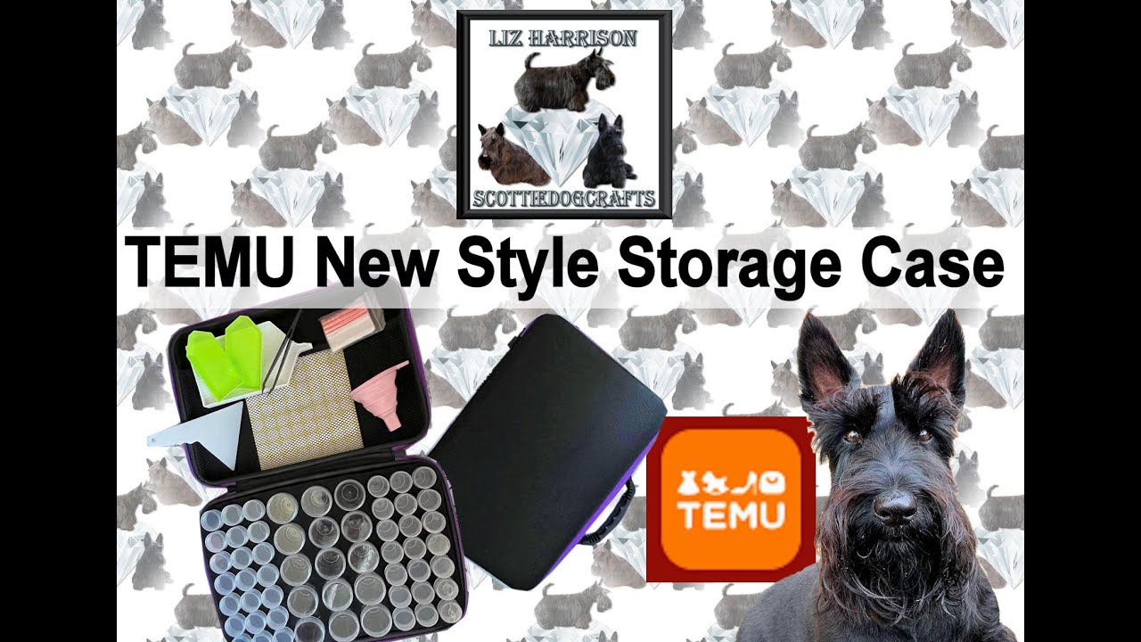 Diamond Painting | UNBOXNG | TEMU | New Style Damond Painting Storage Case | #temu #temuhaul