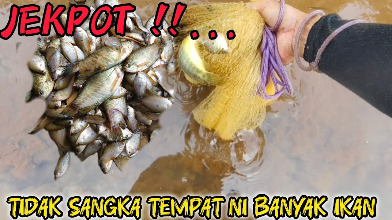 SYURGA IKAN SEMPAT SIAM DI PARIT
