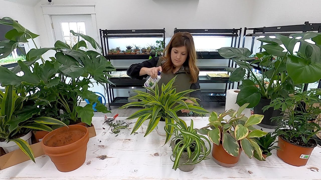 Picking Out Houseplants for our Mantel! 🌿🥰// Garden Answer